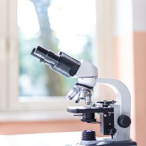 Microscopio del laboratorio d'istituto a disposizione degli studenti per lo studio